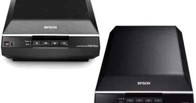 Epson V550 Vs. V600