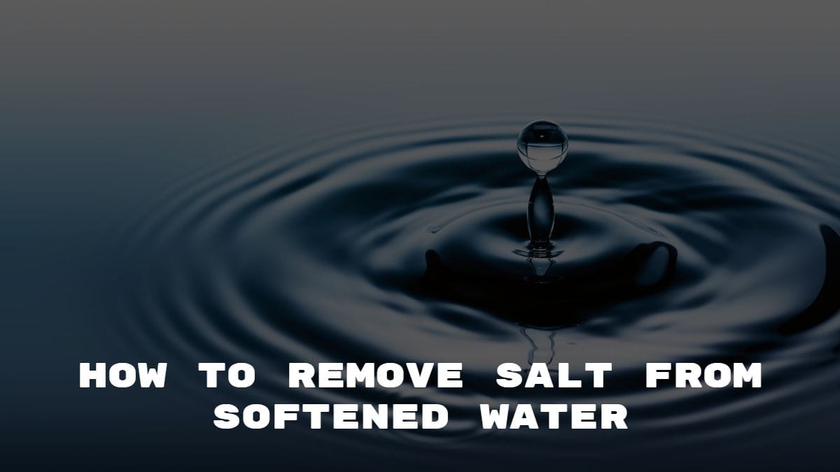 how-to-remove-salt-from-softened-water-2023-the-home-guide