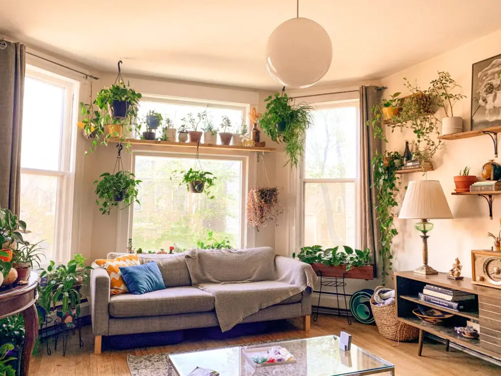 The Best Indoor Garden Options for the Home