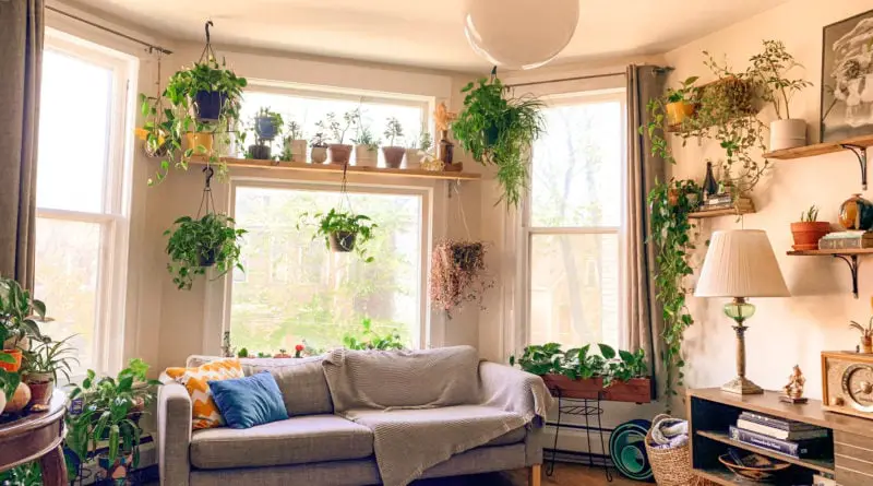 The Best Indoor Garden Options for the Home