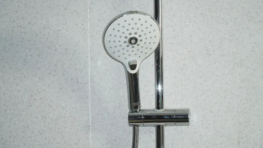 Shower head and handle